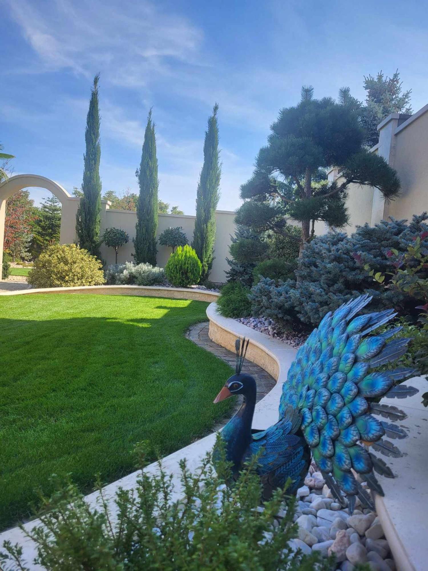 Sika Palladium Garden & Spa Central Apartment Arad Extérieur photo
